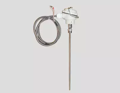 Resistance Temperature Detector